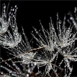 Meet your Posher, Christie